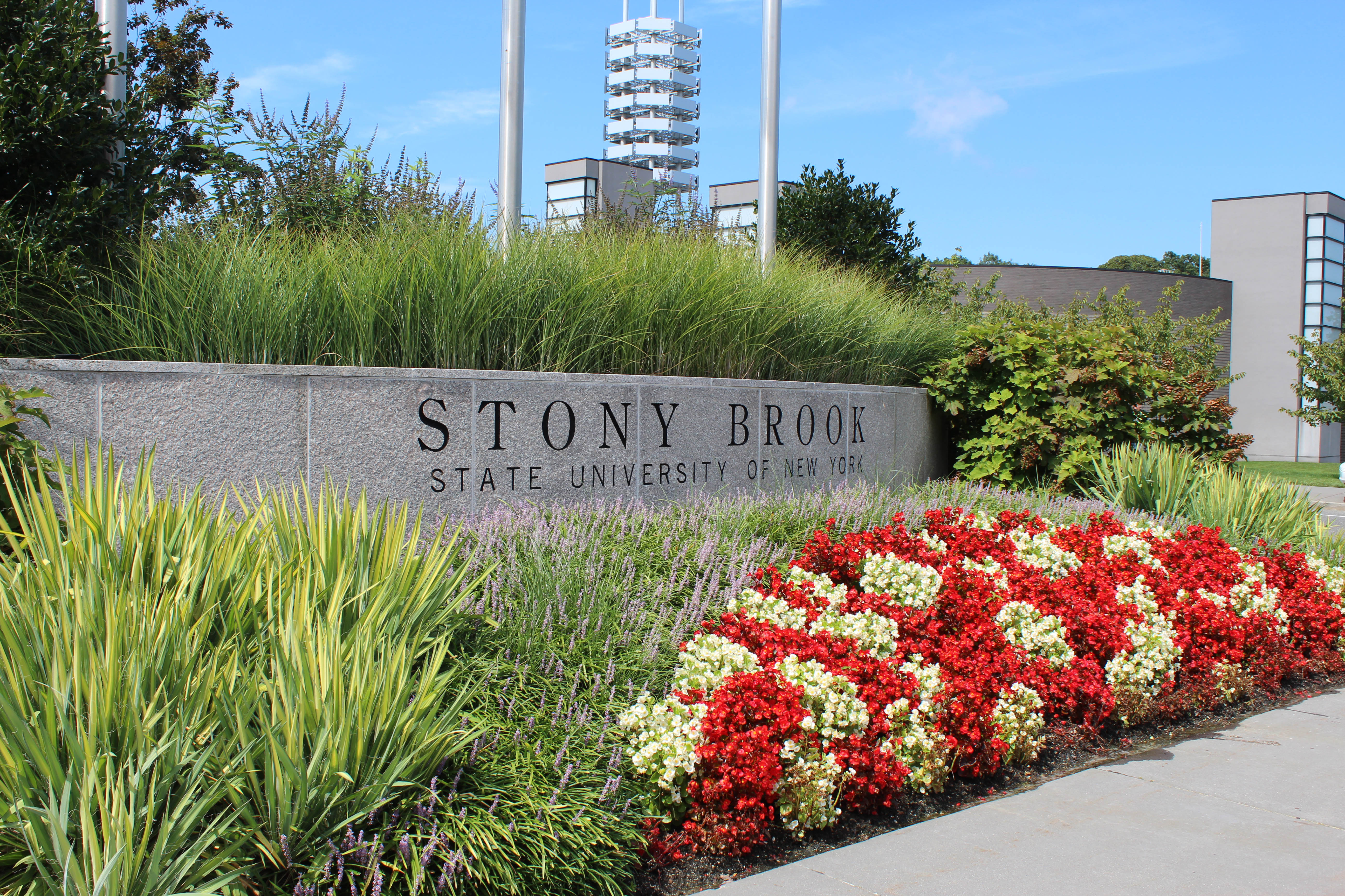 Stony Brook University